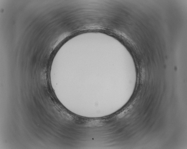 X0000079311162200612151745