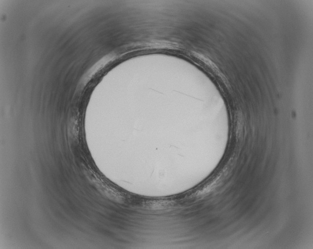 X0000079311163200612151745