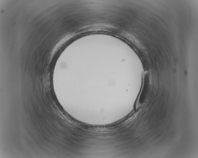 X0000079311164200612151745