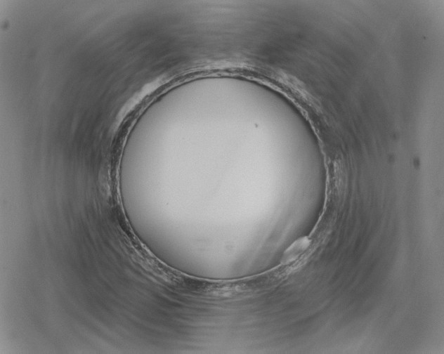 X0000079311165200612151745