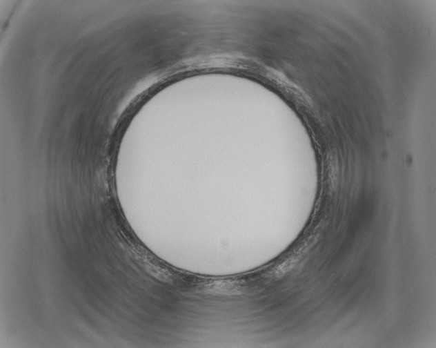 X0000079311166200612151745