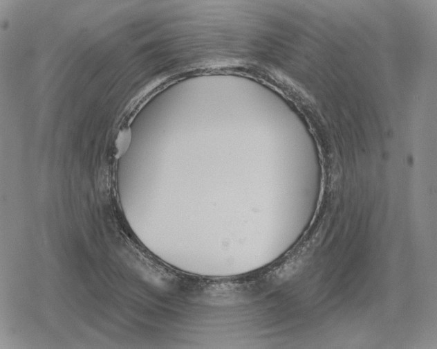 X0000079311169200612151745