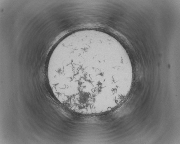 X0000079311170200612151745