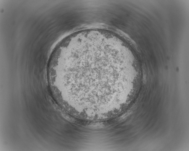 X0000079311174200612151745