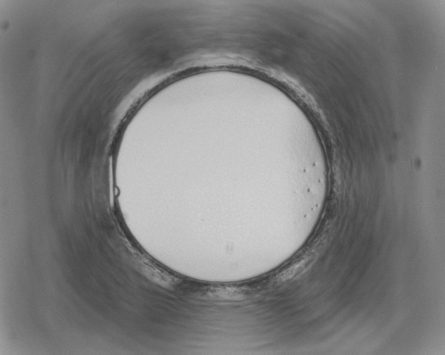 X0000079311175200612151745