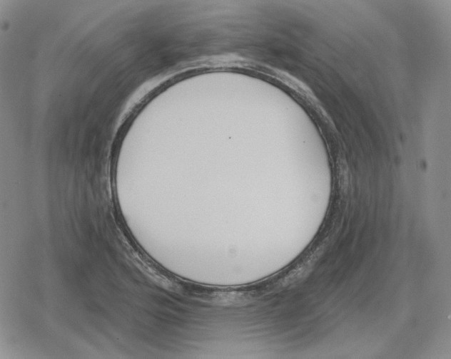 X0000079311176200612151745