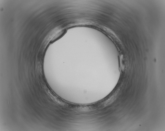 X0000079311177200612151745