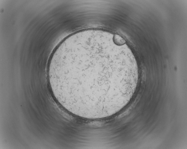 X0000079311178200612151745