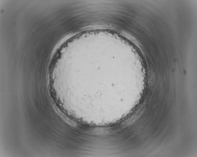 X0000079311179200612151744