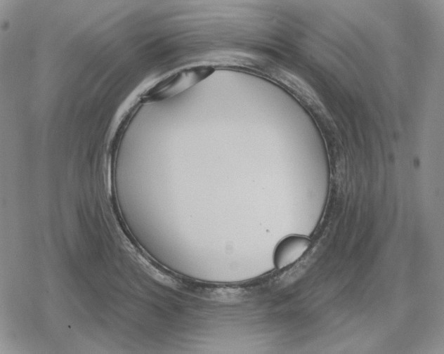 X0000079311180200612151744