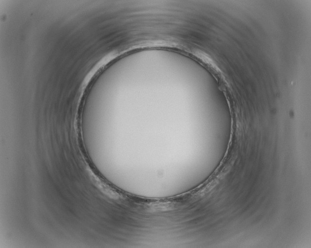 X0000079311181200612151744