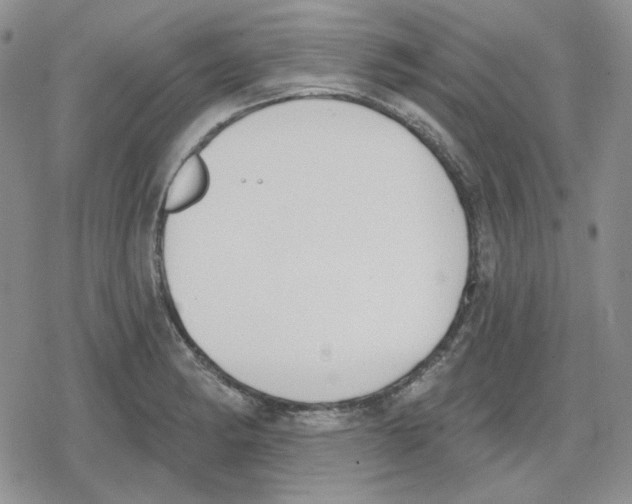 X0000079311182200612151744