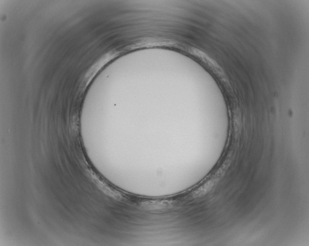 X0000079311185200612151744