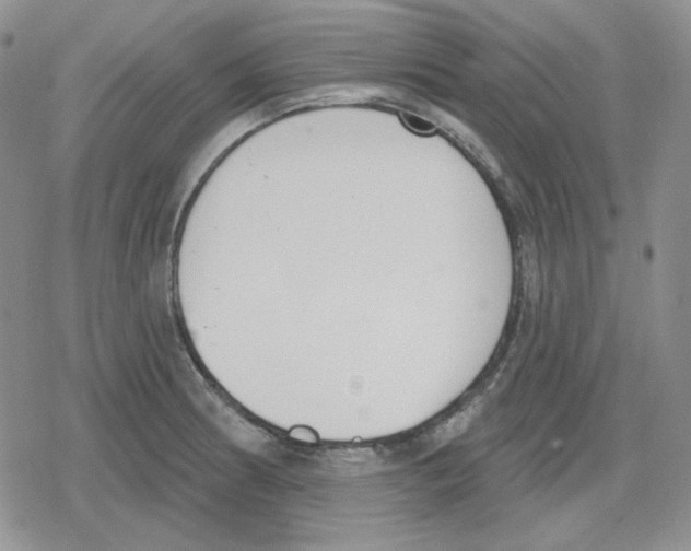 X0000079311186200612151744