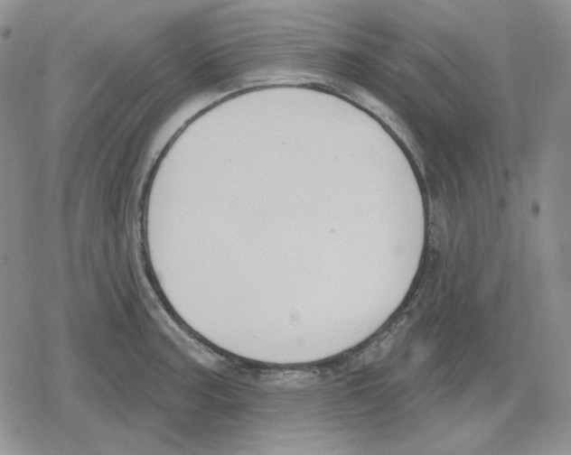 X0000079311187200612151744