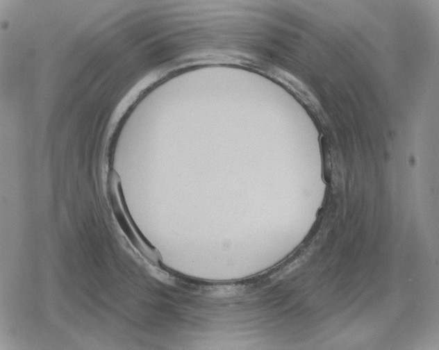 X0000079311188200612151744