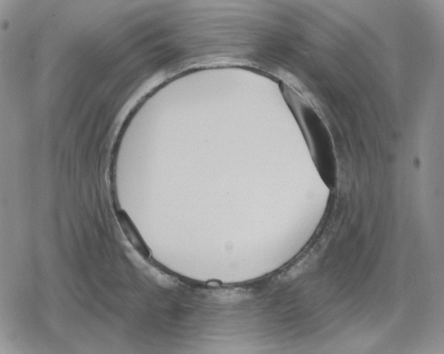 X0000079311189200612151744