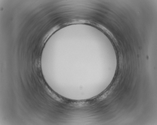 X0000079311193200612151744