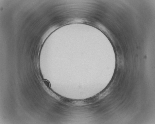 X0000079311194200612151744