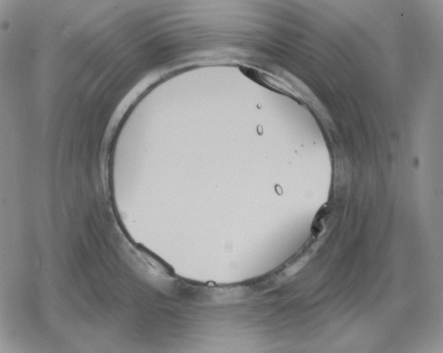 X0000079311196200612151744