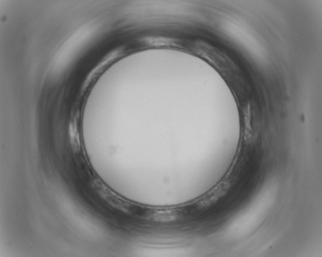 X0000079311198200612151744