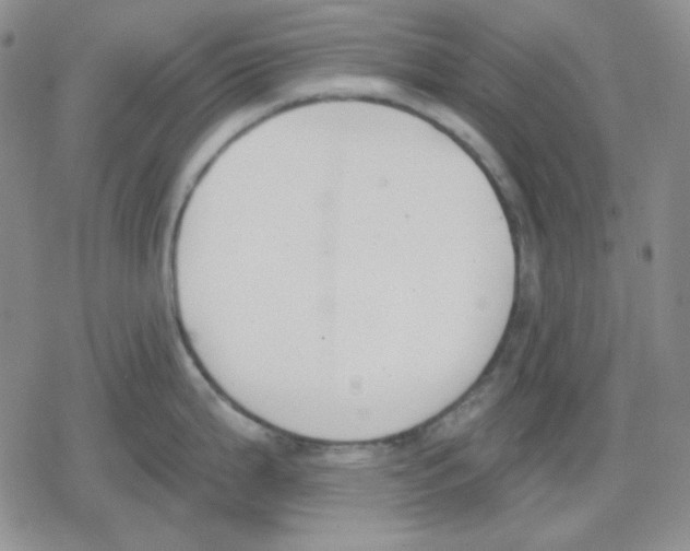 X0000079311199200612151744