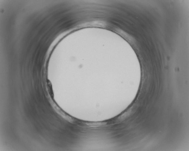 X0000079311200200612151744