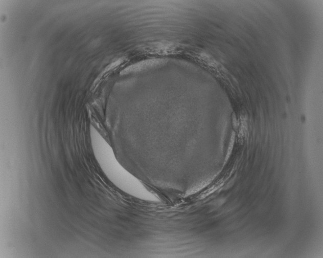 X0000079311202200612151743