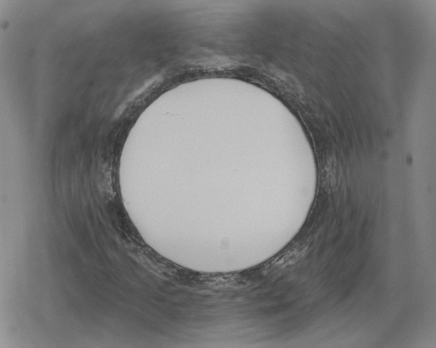 X0000079311205200612151743