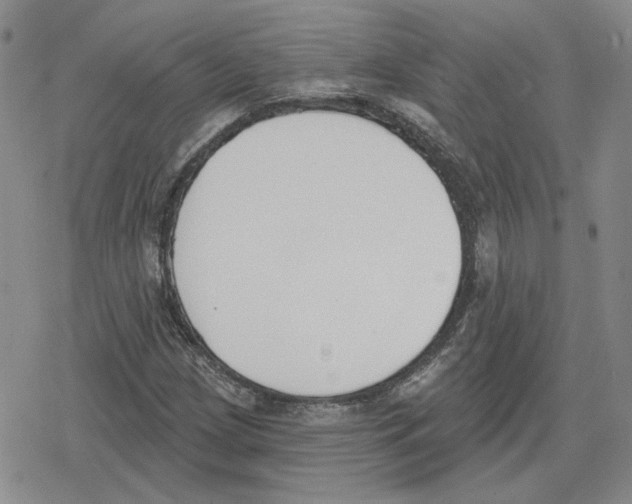 X0000079311209200612151744