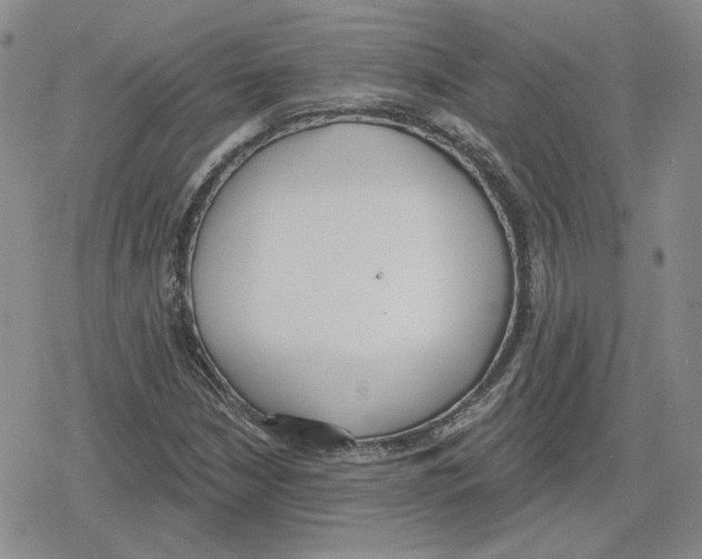 X0000079311210200612151744