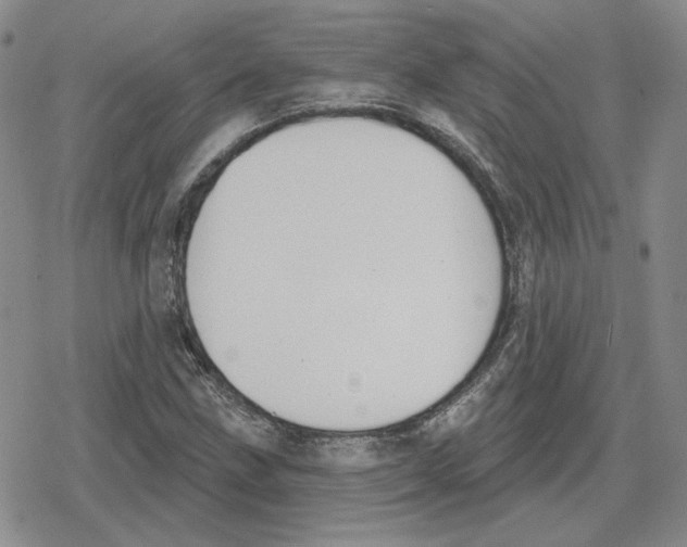 X0000079311211200612151744