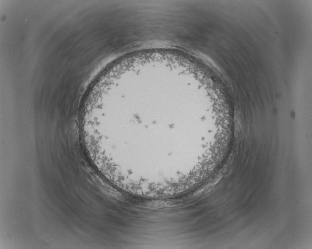 X0000079311212200612151744