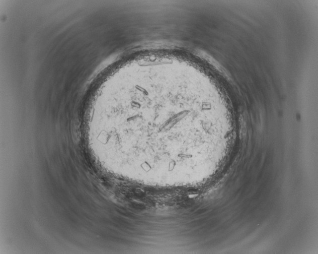 X0000079311213200612151744