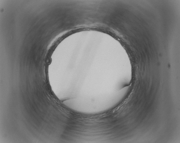 X0000079311214200612151744