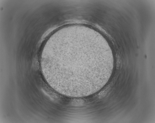 X0000079311215200612151744