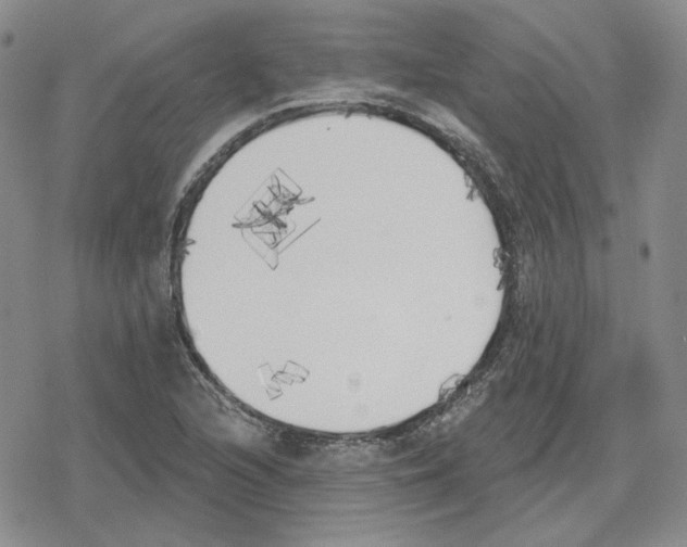 X0000079311216200612151744