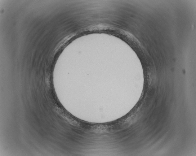 X0000079311217200612151744