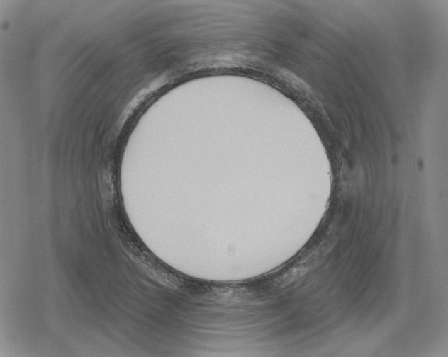 X0000079311218200612151744