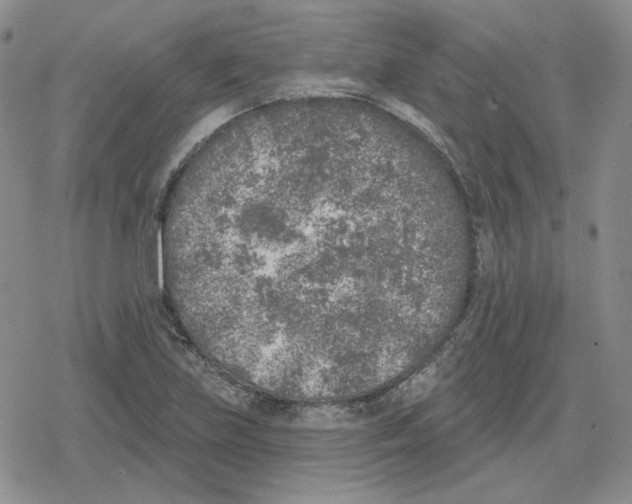 X0000079311219200612151744