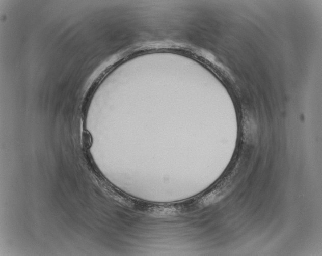 X0000079311221200612151744