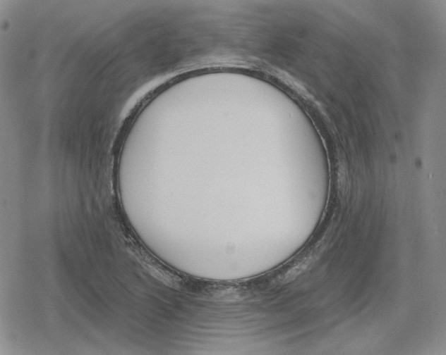 X0000079311222200612151744