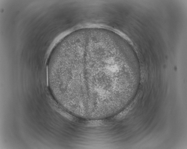 X0000079311223200612151744