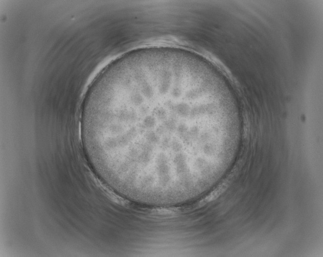 X0000079311224200612151744