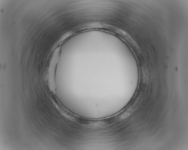 X0000079311225200612151744