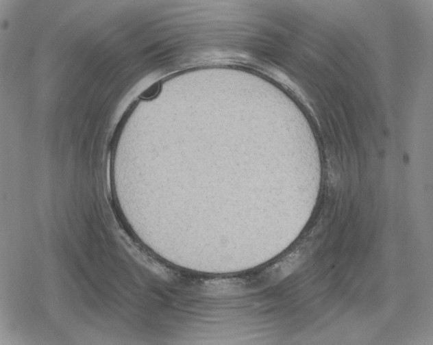 X0000079311227200612151744