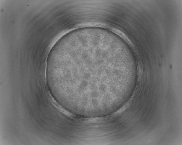 X0000079311228200612151744