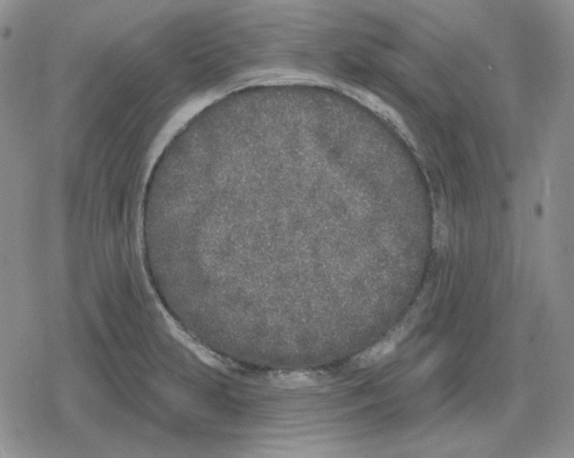 X0000079311231200612151744