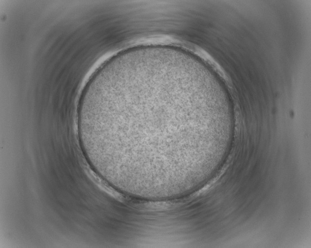 X0000079311232200612151744