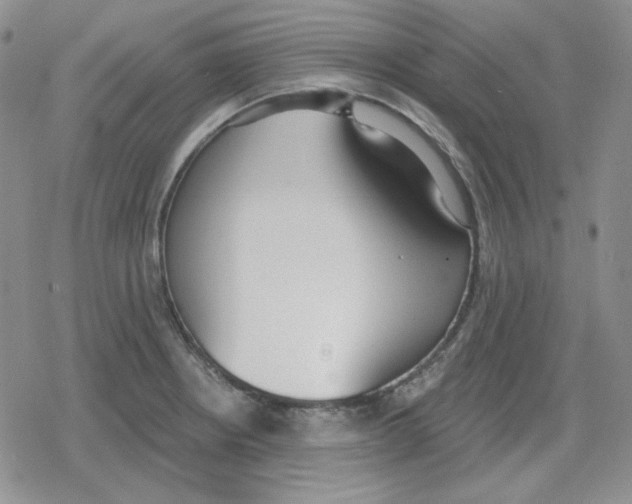 X0000079311234200612151744